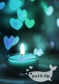 爱神来了免费阅读