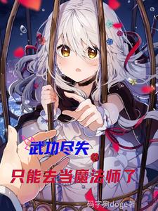 武功尽失，只能去当魔法师了
