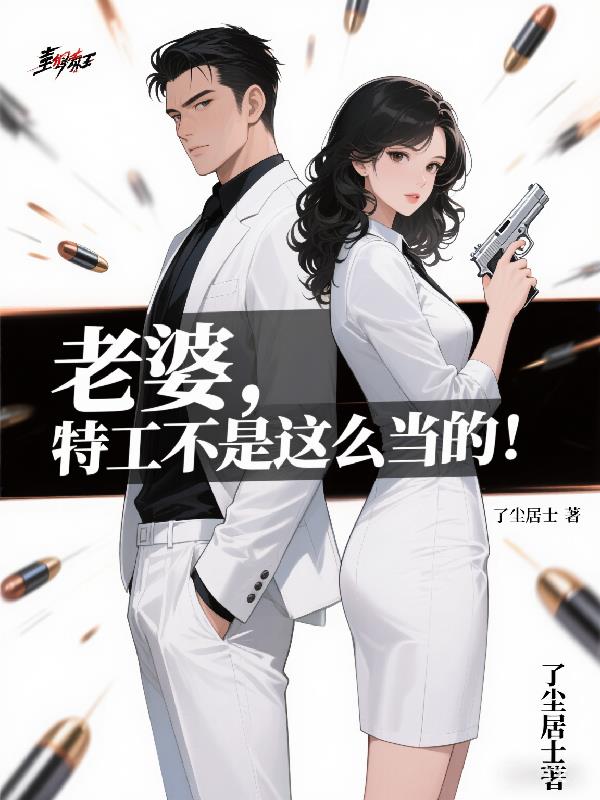 老婆，特工不是这么当的！