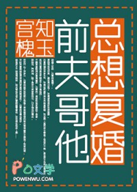 前夫哥他总想复婚